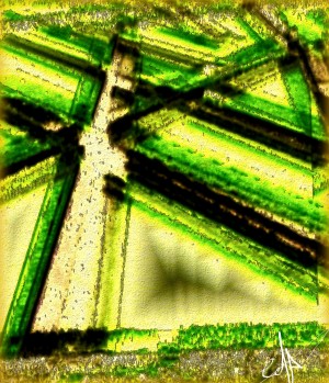 Chlorochrous & Flavescent Structure of Some Kind